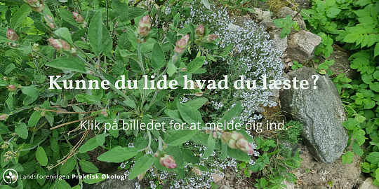 Kunne du lide, hvad du læste?